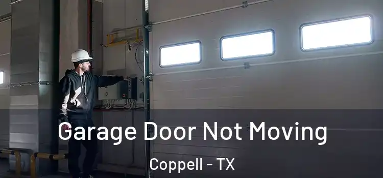  Garage Door Not Moving Coppell - TX