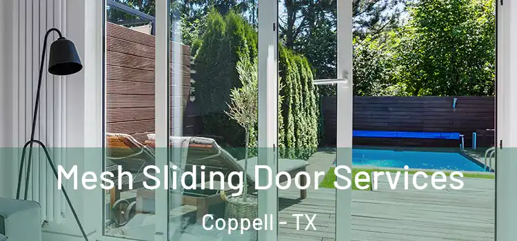 Mesh Sliding Door Services Coppell - TX